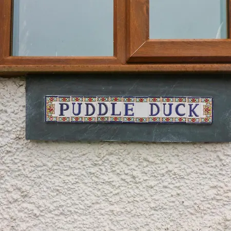 Puddle Duck *