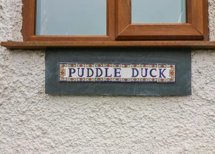 Puddle Duck *